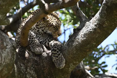 DSC_3964 (Large).JPG